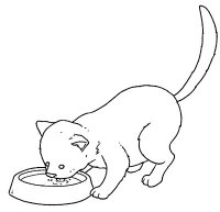 disegni/gatti/gatti_cats_ 38.jpg